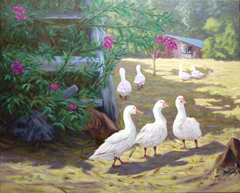 A one eyed look 81x100cm Sold